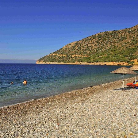 Melinda Pension & Restaurant Mesudiye  Exteriér fotografie